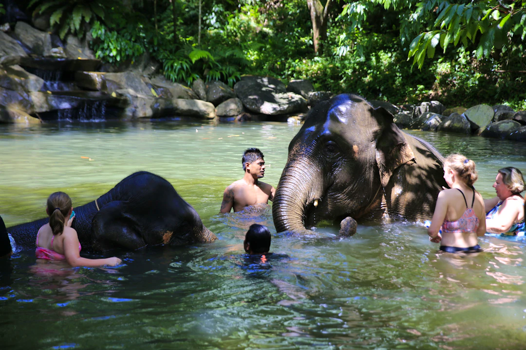 Khao Lak Safari Tour